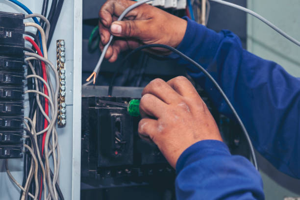 Best Electrical System Inspection  in St Petersburg, FL